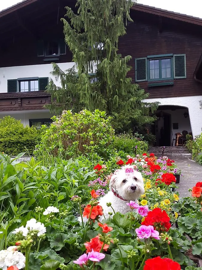 Bed and Breakfast Haus Am Moos Salzburgo 0*,  Austria
